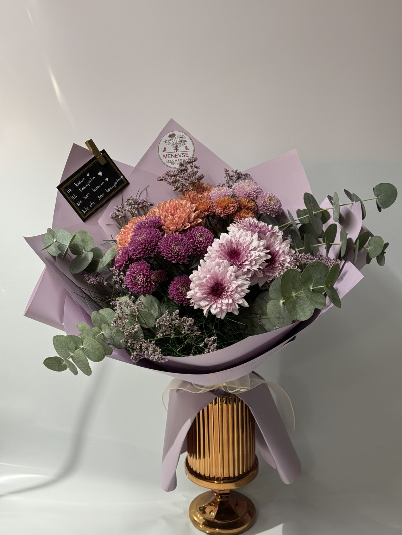 Purple Sun Crizantem