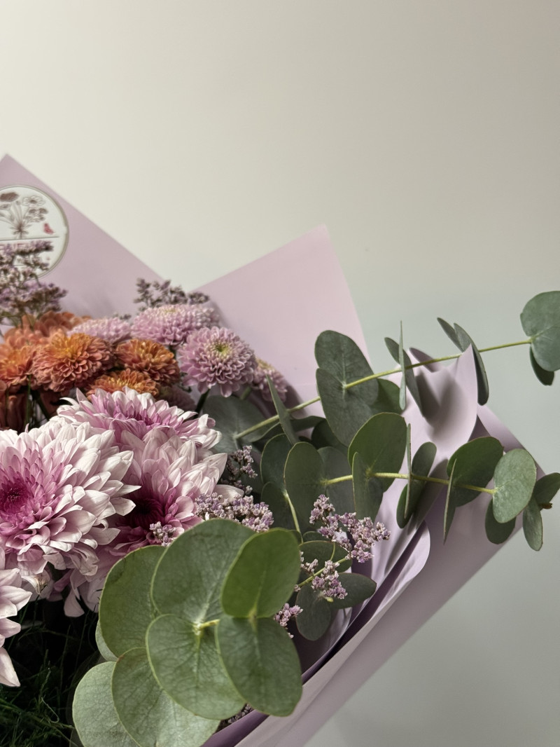 Purple Sun Crizantem