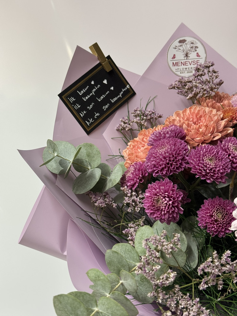 Purple Sun Crizantem