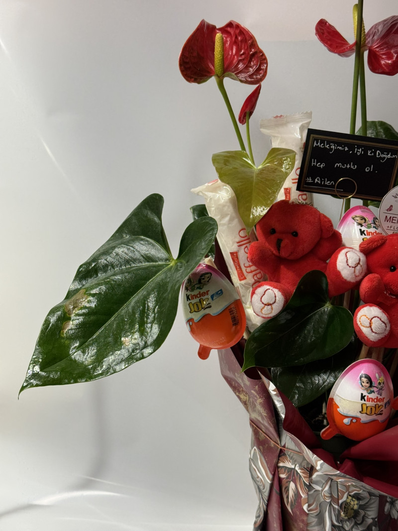 Antoryum & Teddy & Raffaello Chocolate