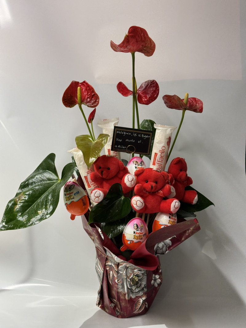 Antoryum & Teddy & Raffaello Chocolate